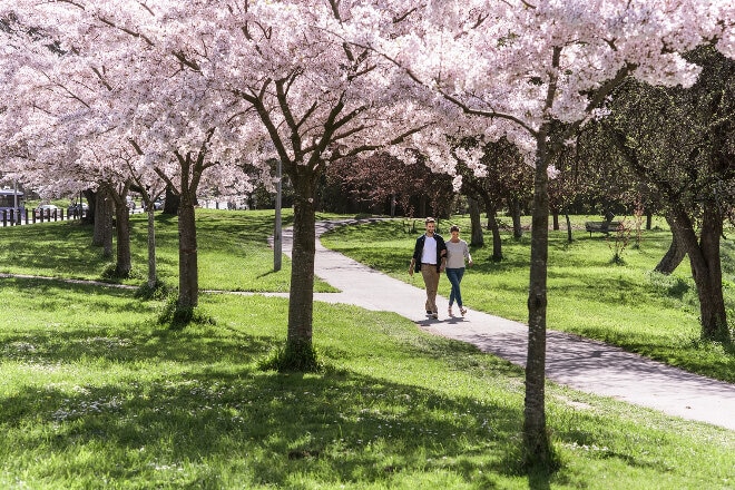 ハグレー公園