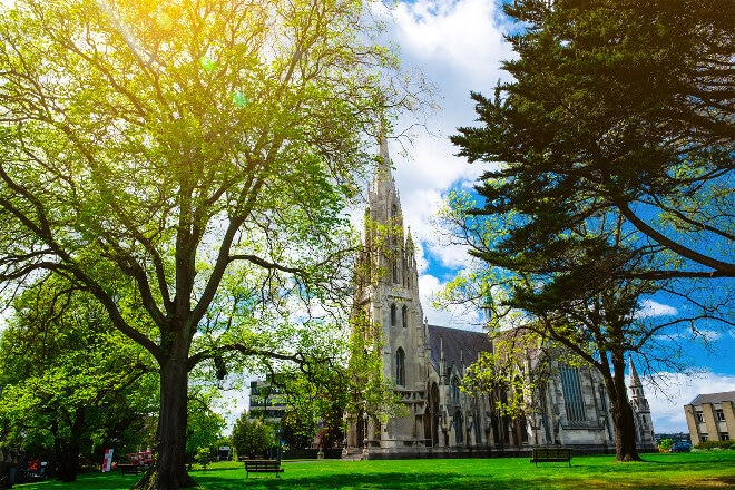 Cathedral and tree in dunedin NZ