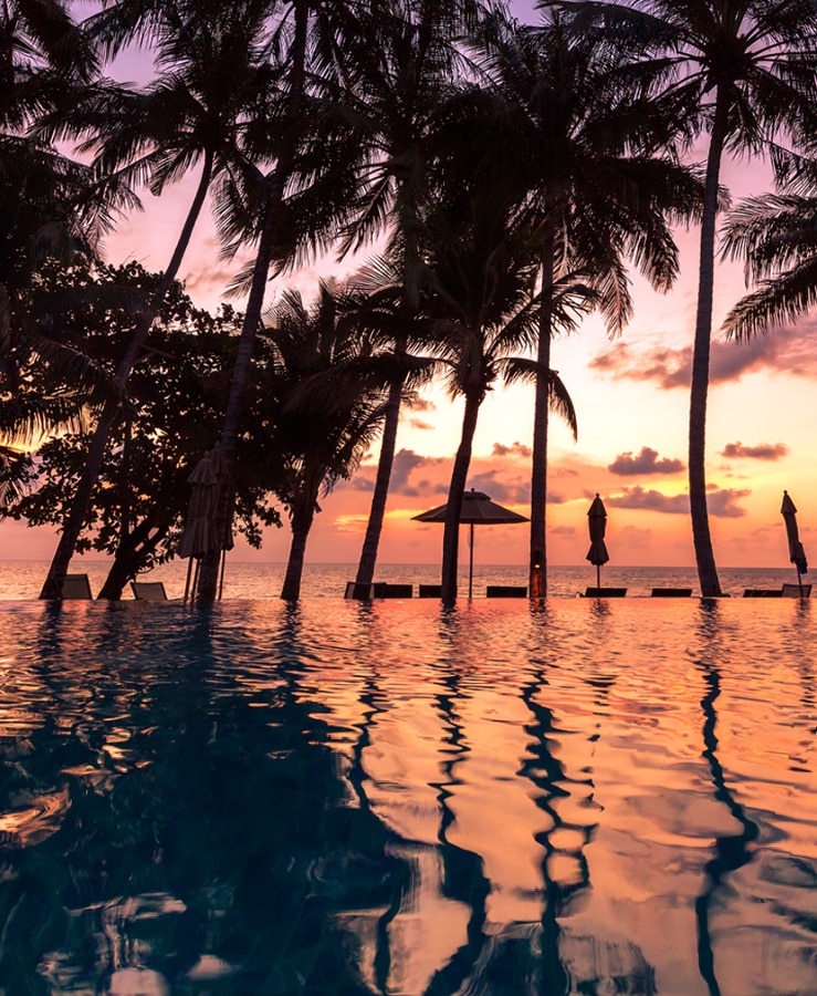 Pool, sunset and palm trees