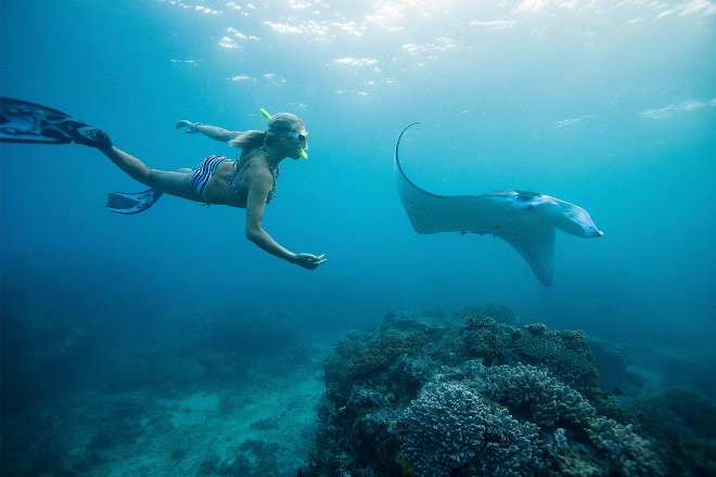 Women snorkelling with sting ray