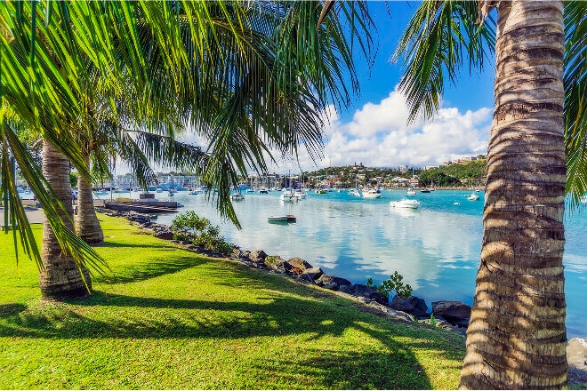 Noumea trees by the water