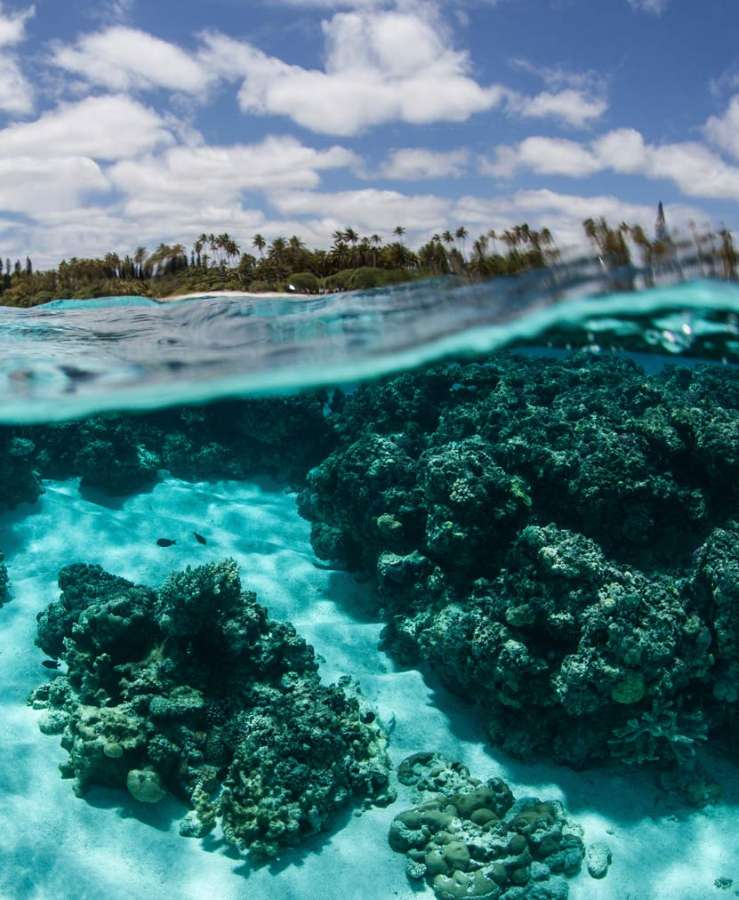 Noumea underwater reef