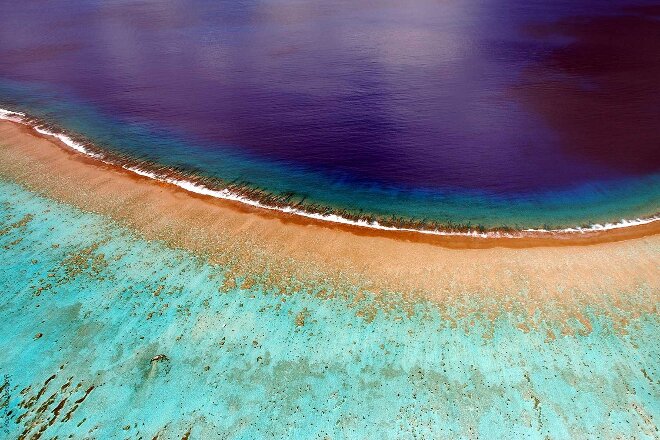 reef tahitii