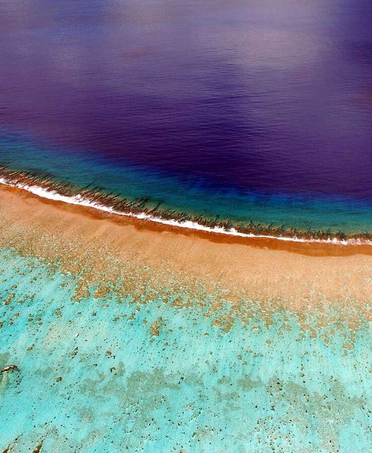 Reef in Tahiti, South Pacific Ocean