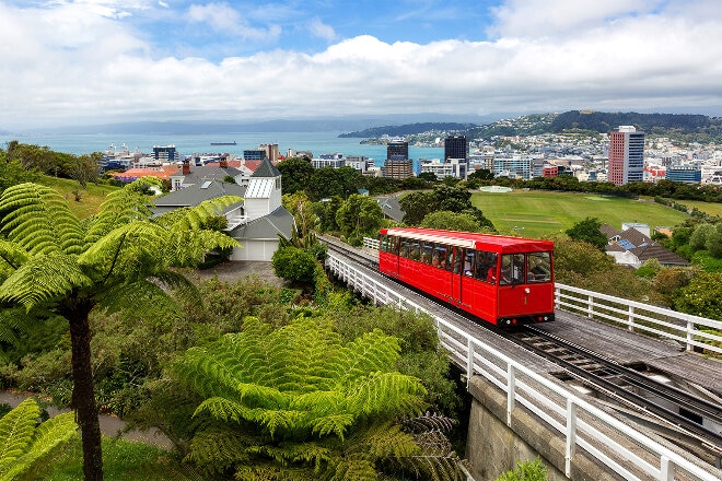 Wellington Cable Car and cityscape