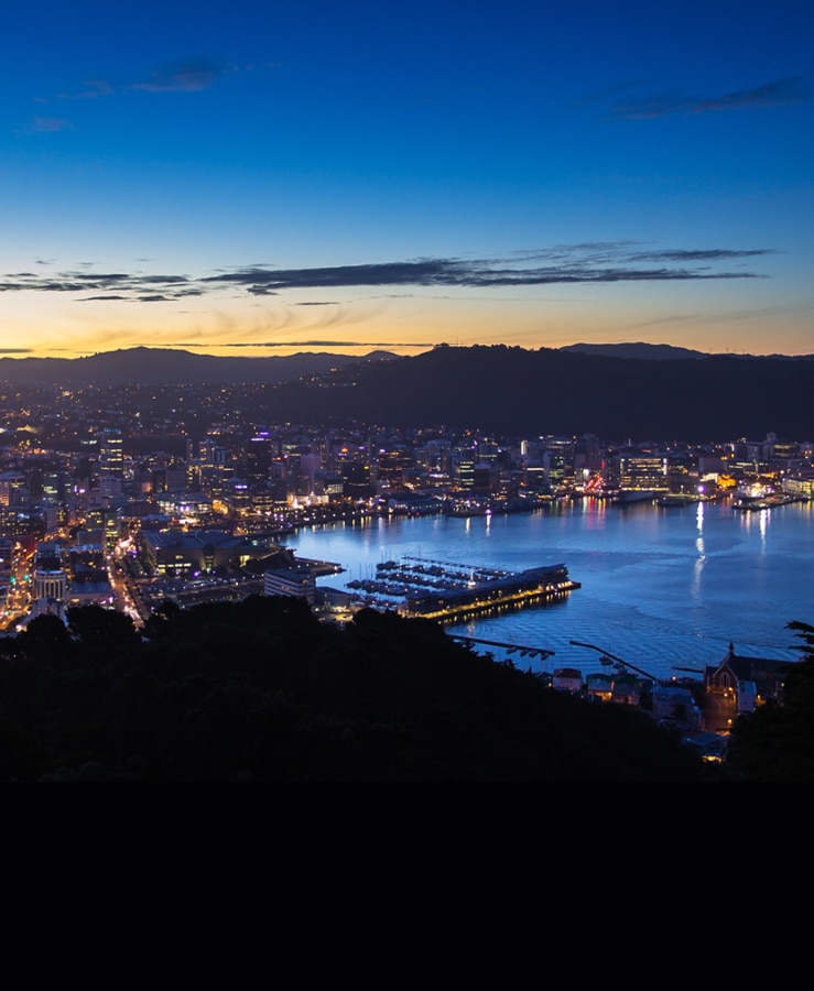 Wellington city and harbour at night 