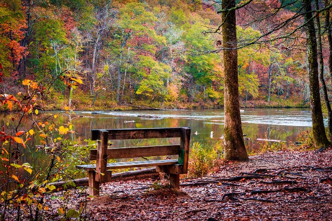 Park bench in Autumn