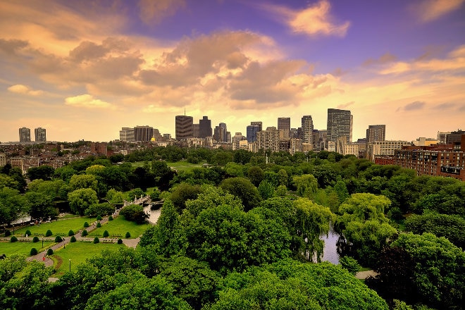 Boston public garden