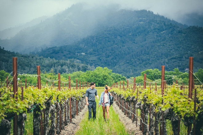 California vineyard