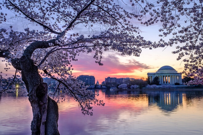 Jefferson at sunrise, Washington DC