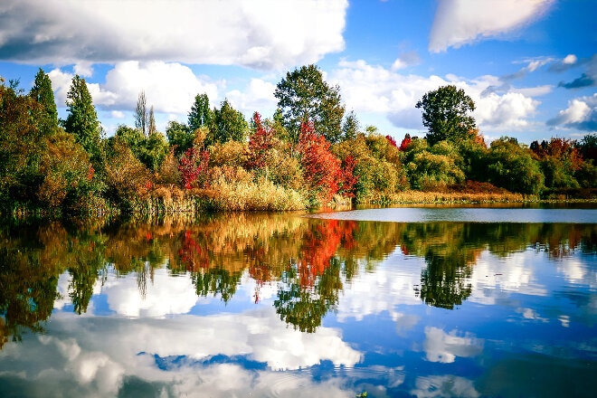 Trout park Vancouver