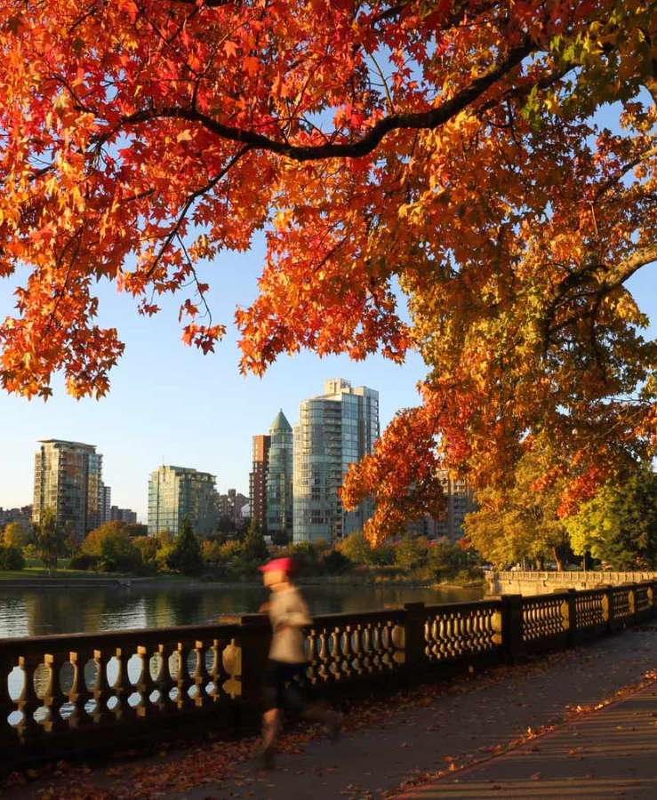 Autumn trees along Stanley street park