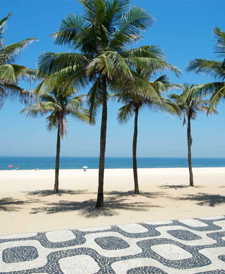 Ipanema Beach and Palm trees