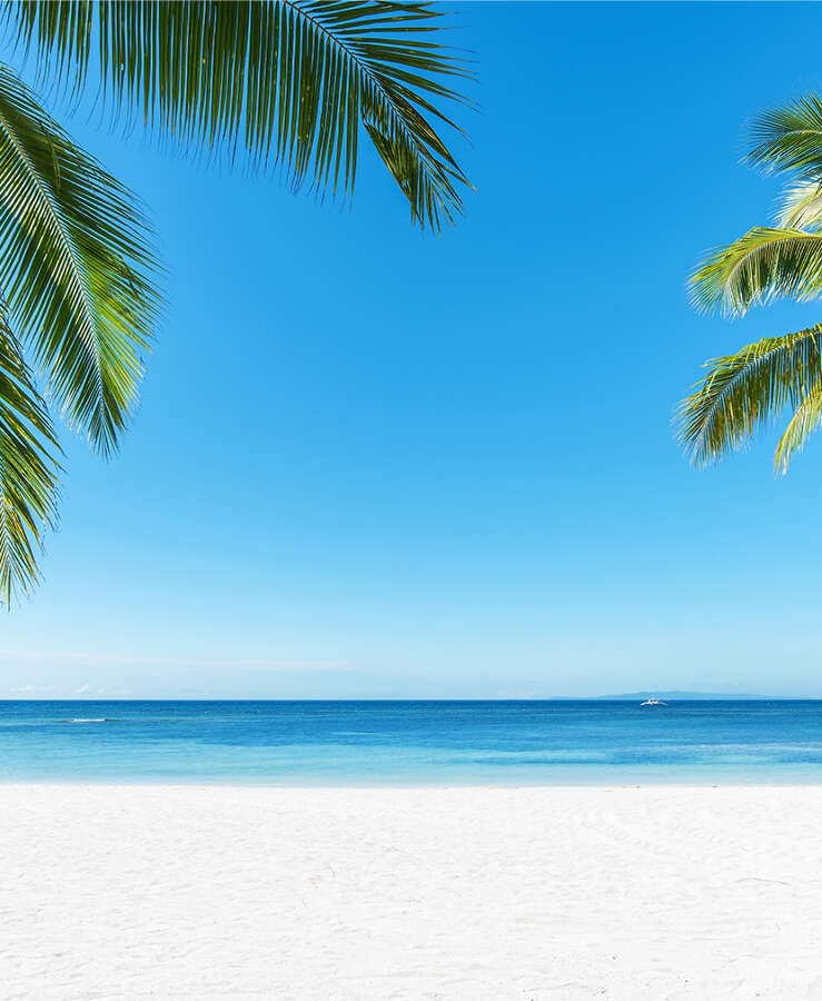 beach looking out over the ocean through the palm fronds