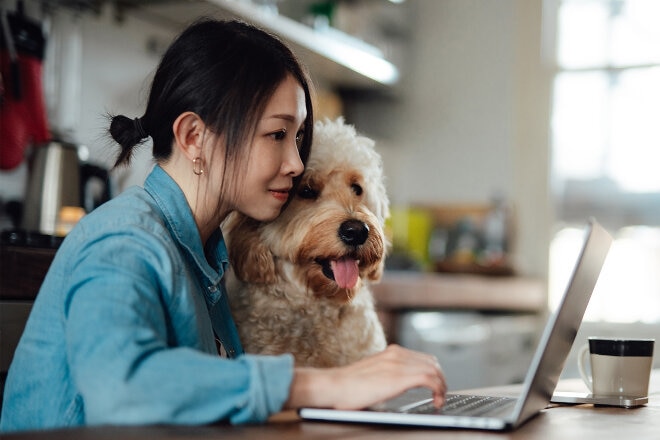 Woman on laptop with her dog