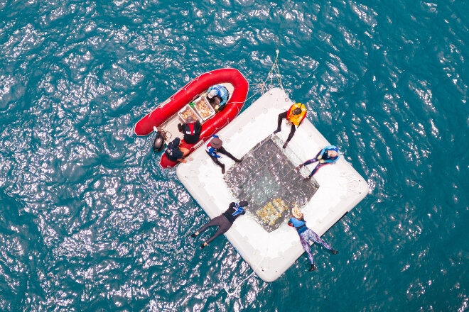 Ocean rafting, Great Barrier Reef