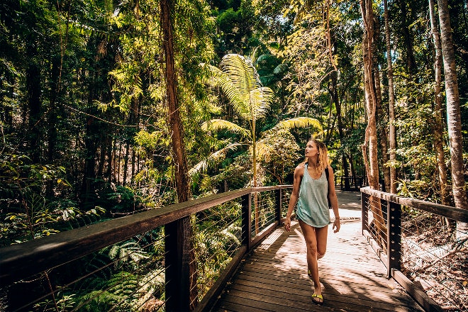 lady walking through rainforest on fraser island