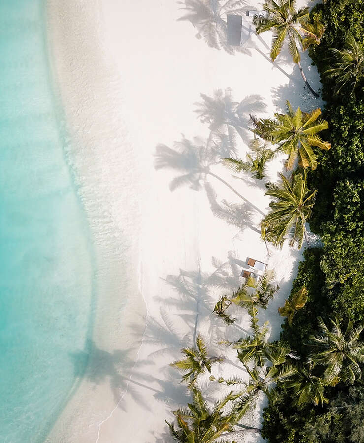 Aerial view of white sandy beach, clear ocean water and palm trees in the Maldives