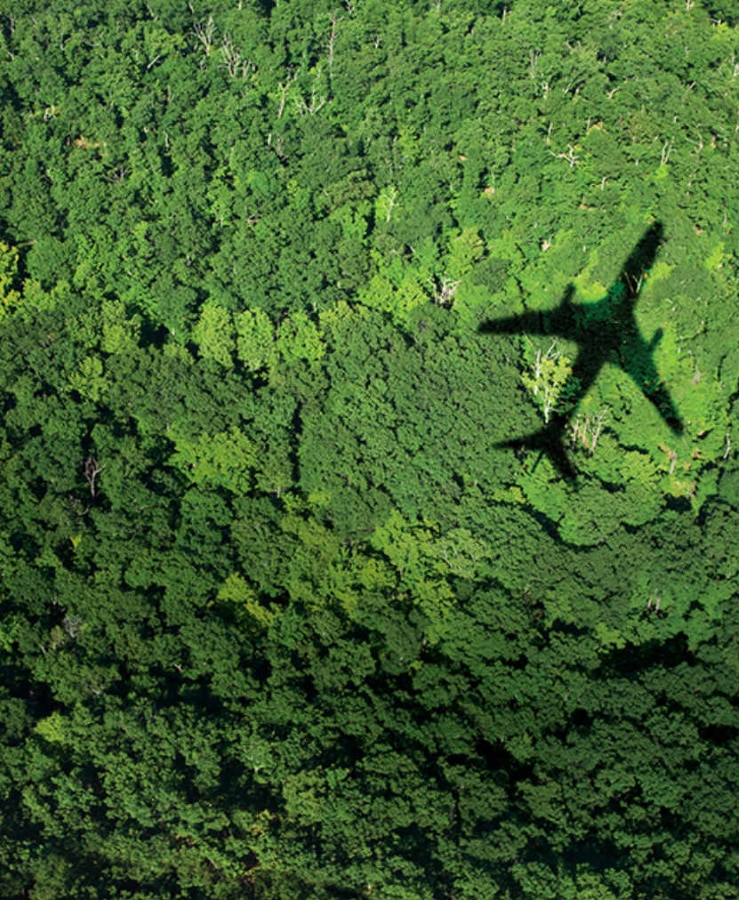 Aircraft shadow over trees