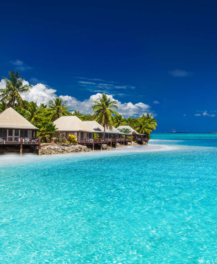 Beach bures next to crystal clear ocean