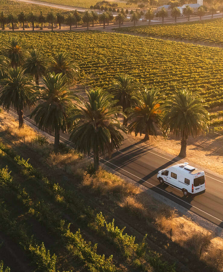 Hippie campervan driving through vineyards in the Barossa Valley