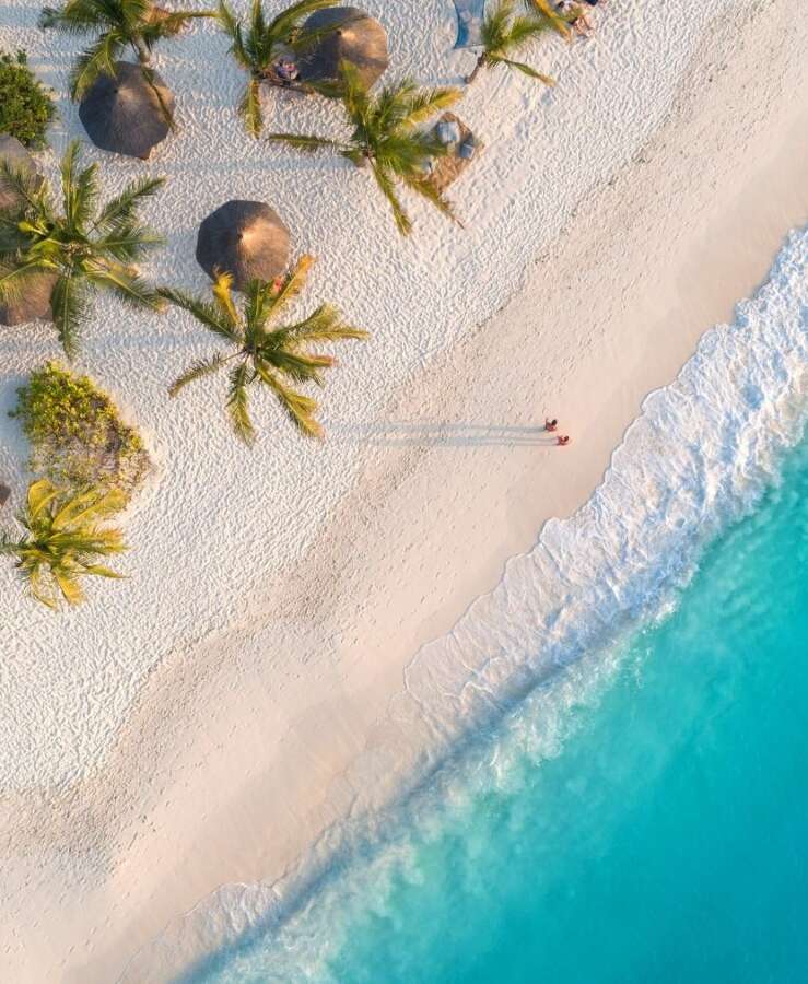 Aerial view of beach, palm trees and blue water