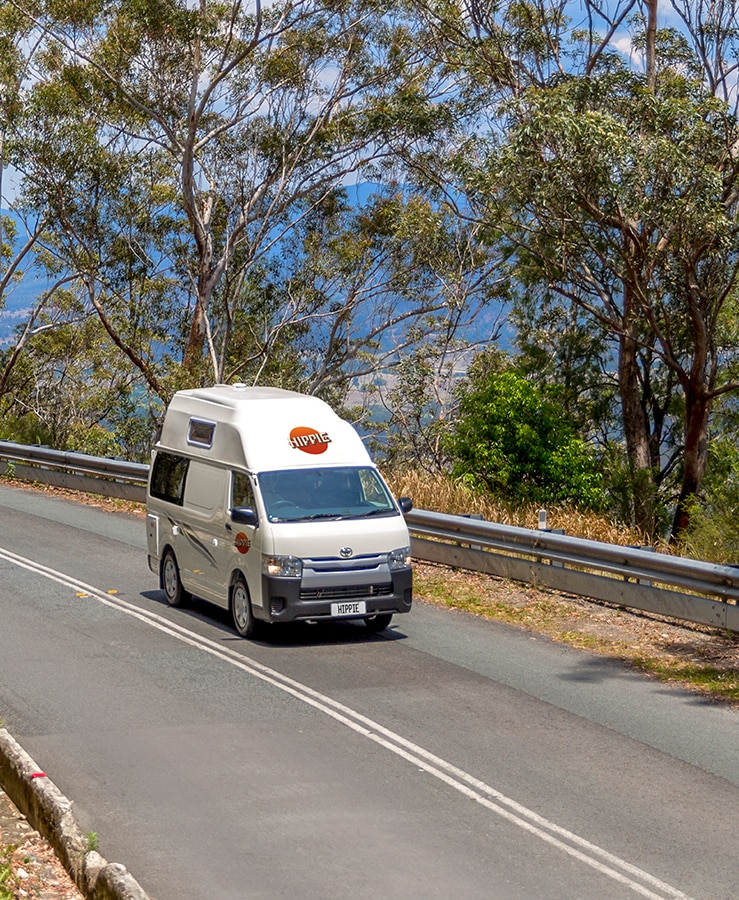 hippie campervan