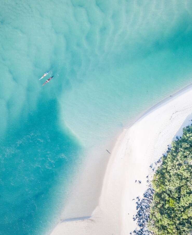 white sand palm tree beach