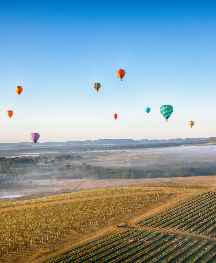 hot air balloons