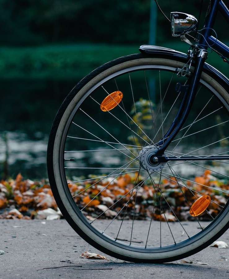 Bicycle wheel with autumn leaves on the roadside