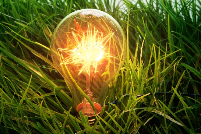 light bulb sitting in the grass