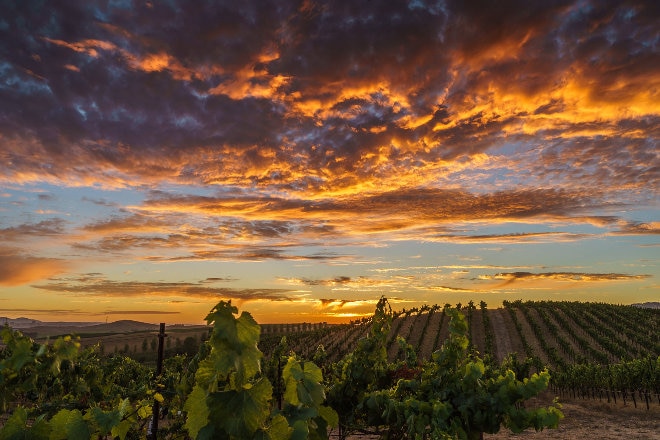 sunset sonoma