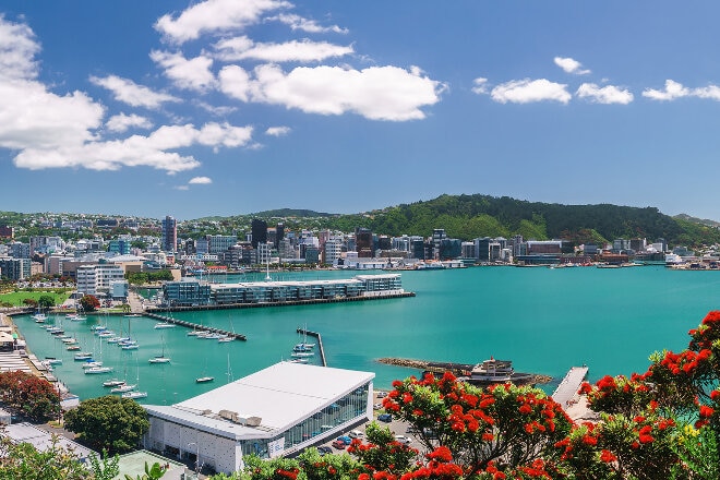 Wellington city and harbour