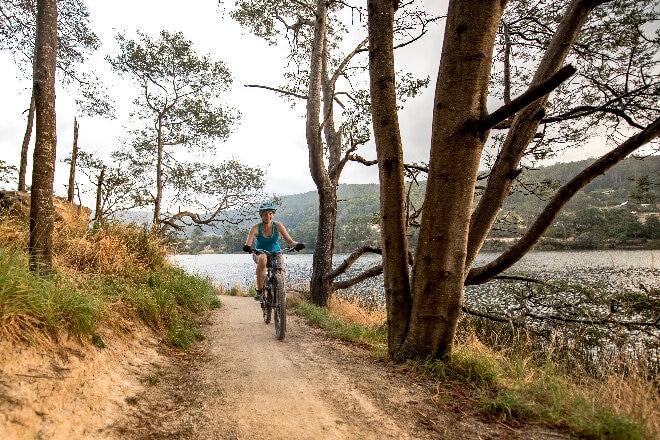 Woman mountain bike riding, Derby, Tasmania