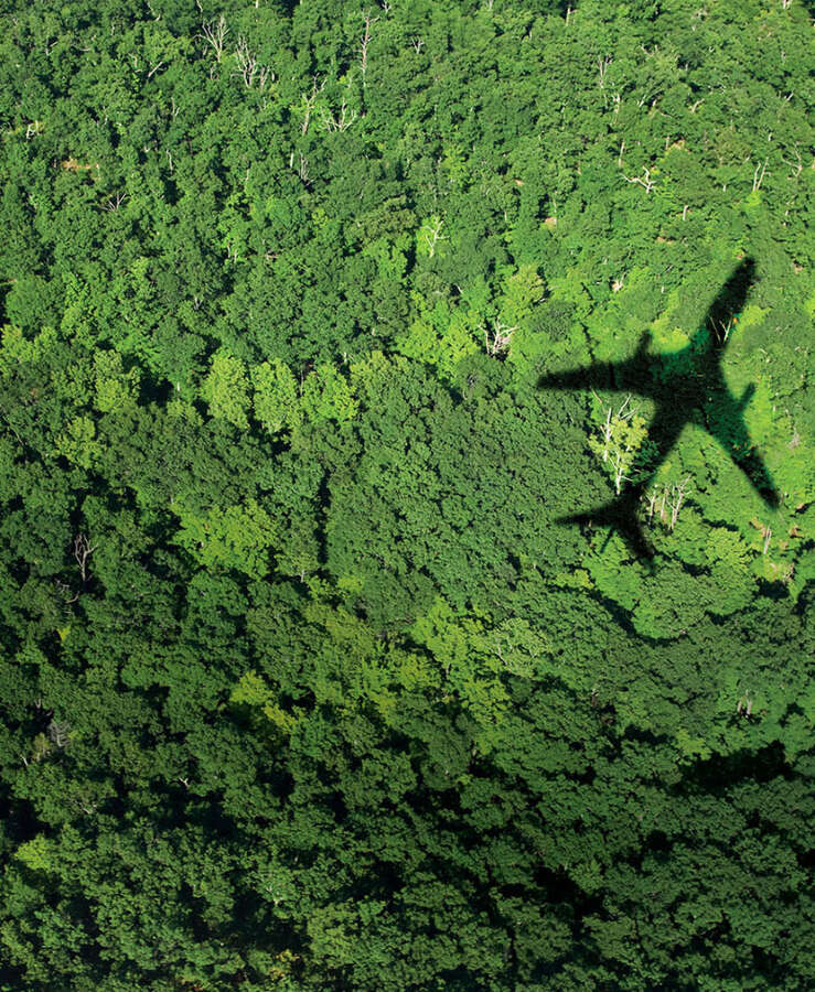 Plane over forest