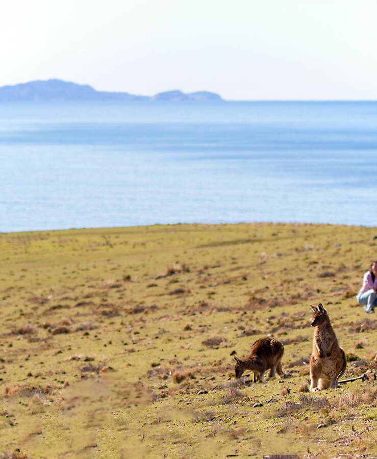 Abigail (Abbey) Tan at Par Avion – Wildlife and Wineglass Bay tour