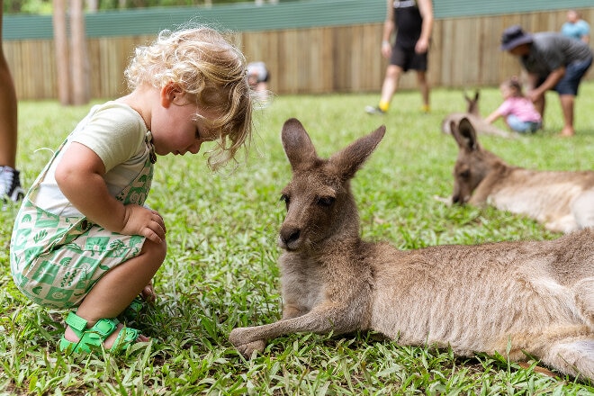 Child with kangaroo at Australia Zoo