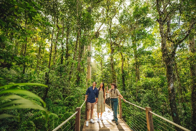 Skyrail Rainforest Cableway