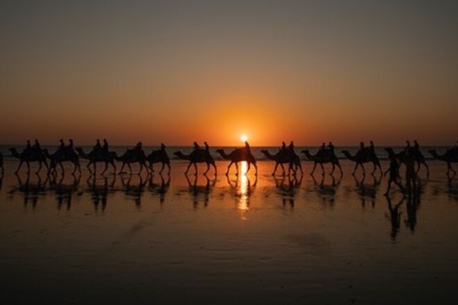 Camel train in Broome at sunset