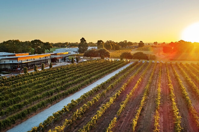 Freemantle Vineyard