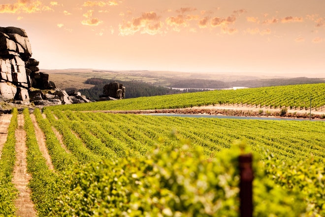 adelaide hills vineyard