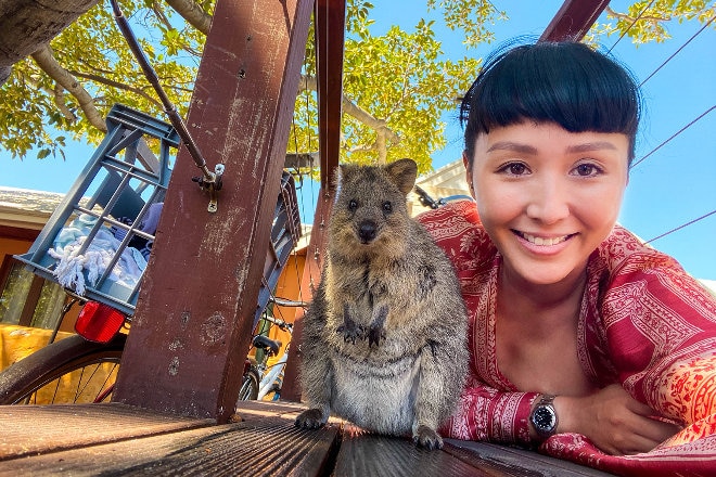 Quokka on Rottnest Island