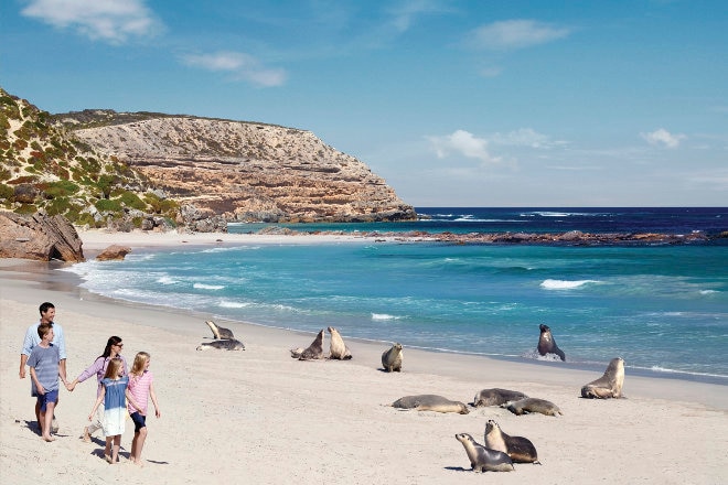 Seal Bay Conservation Park, Kangaroo Island, South Australia