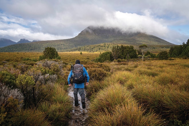 Man hiking in bush