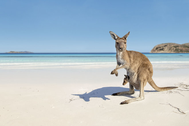 Port Lincoln coast