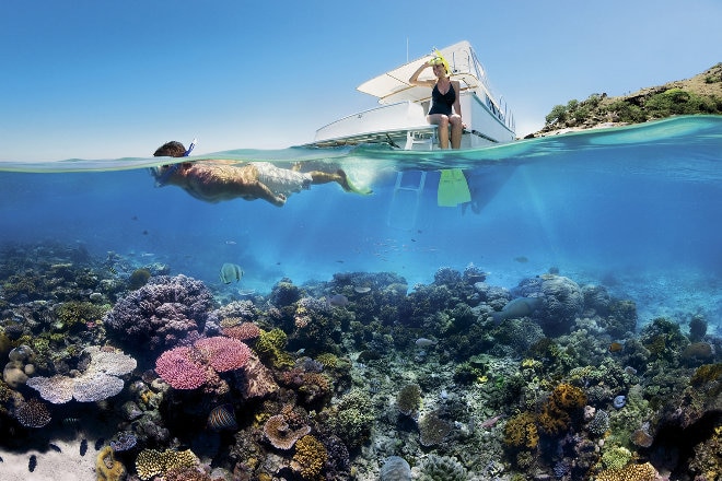 Couple snorkelling at Hamilton Island