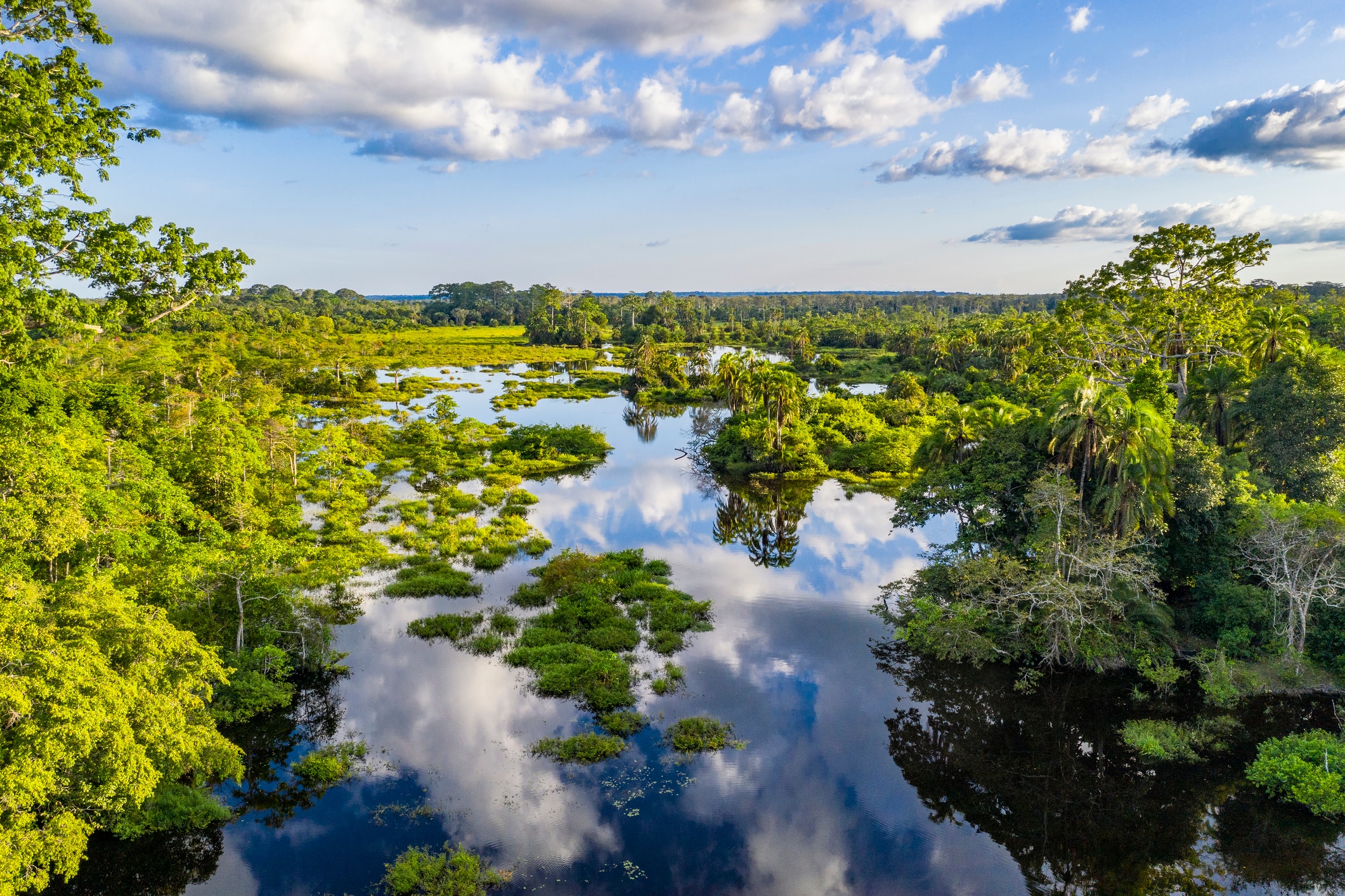 Why You Should Add The Republic Of The Congo To Your Safari Bucket List 