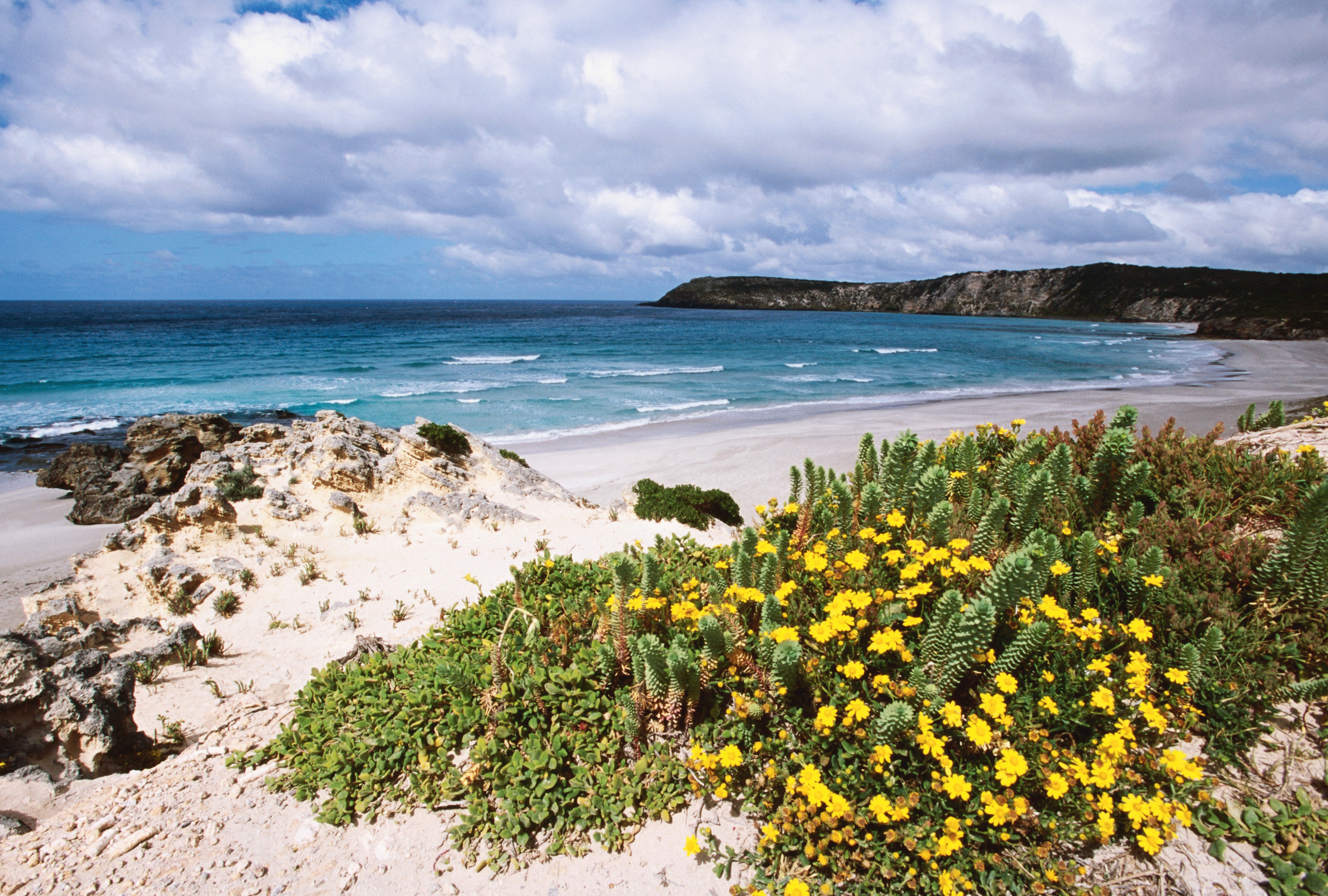 Explore Kangaroo Island Like A Local | Travel Insider