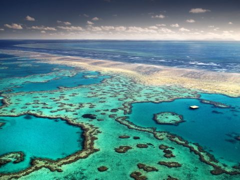 Great Barrier Reef - Queensland, Australia