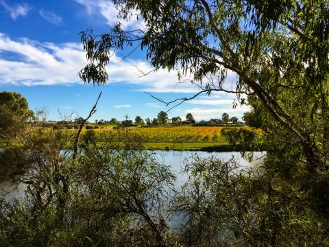 The Best Wine Regions in Western Australia